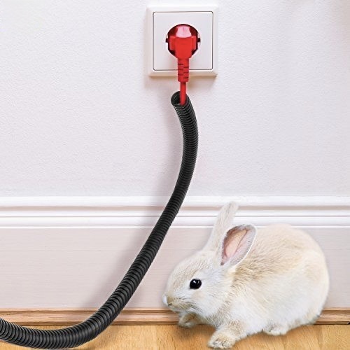 Rabbit - Proofing