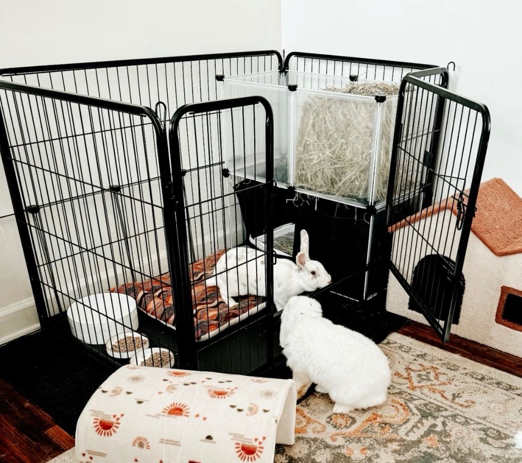 Playpen