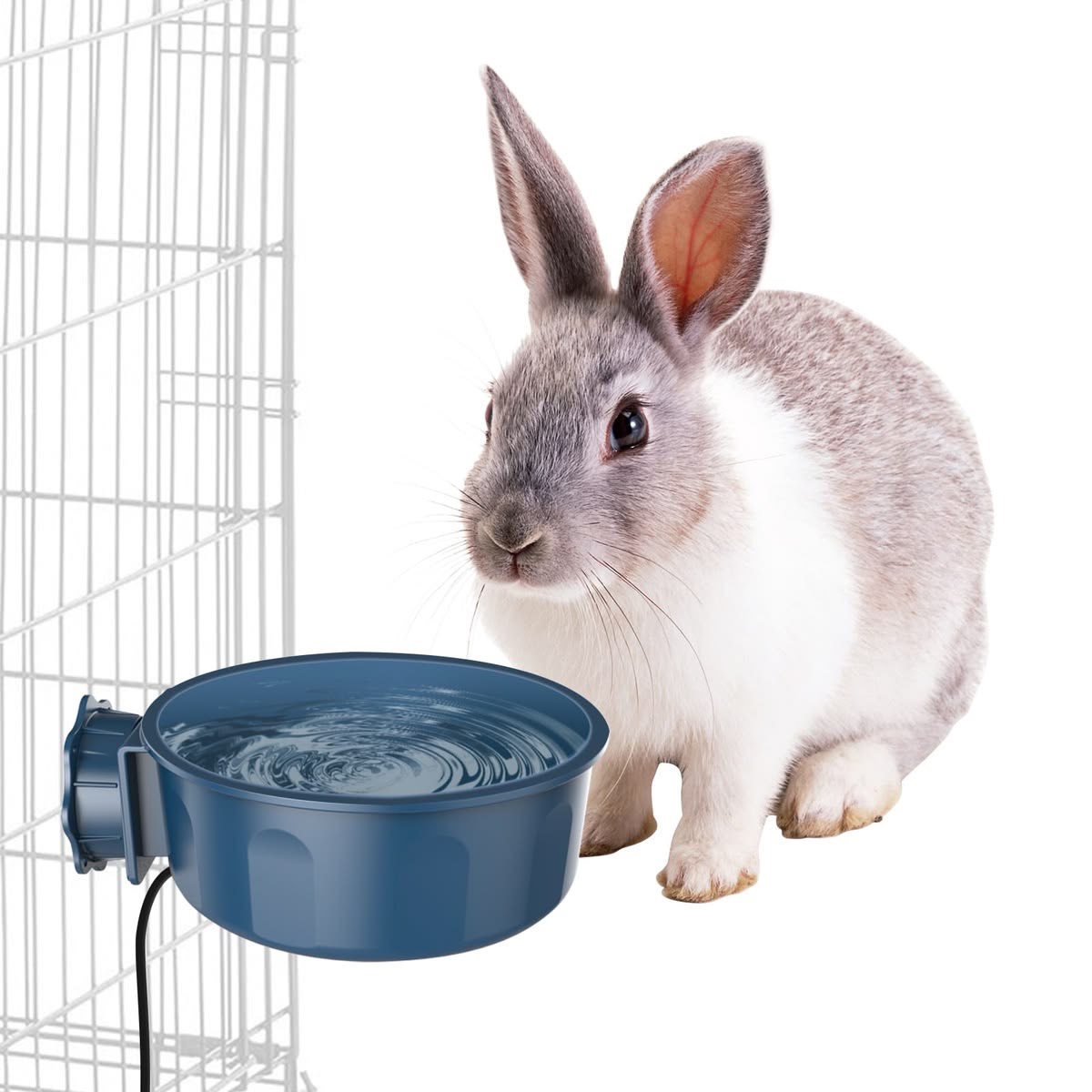 Water Bowl