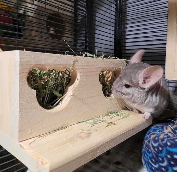 Enrichment
