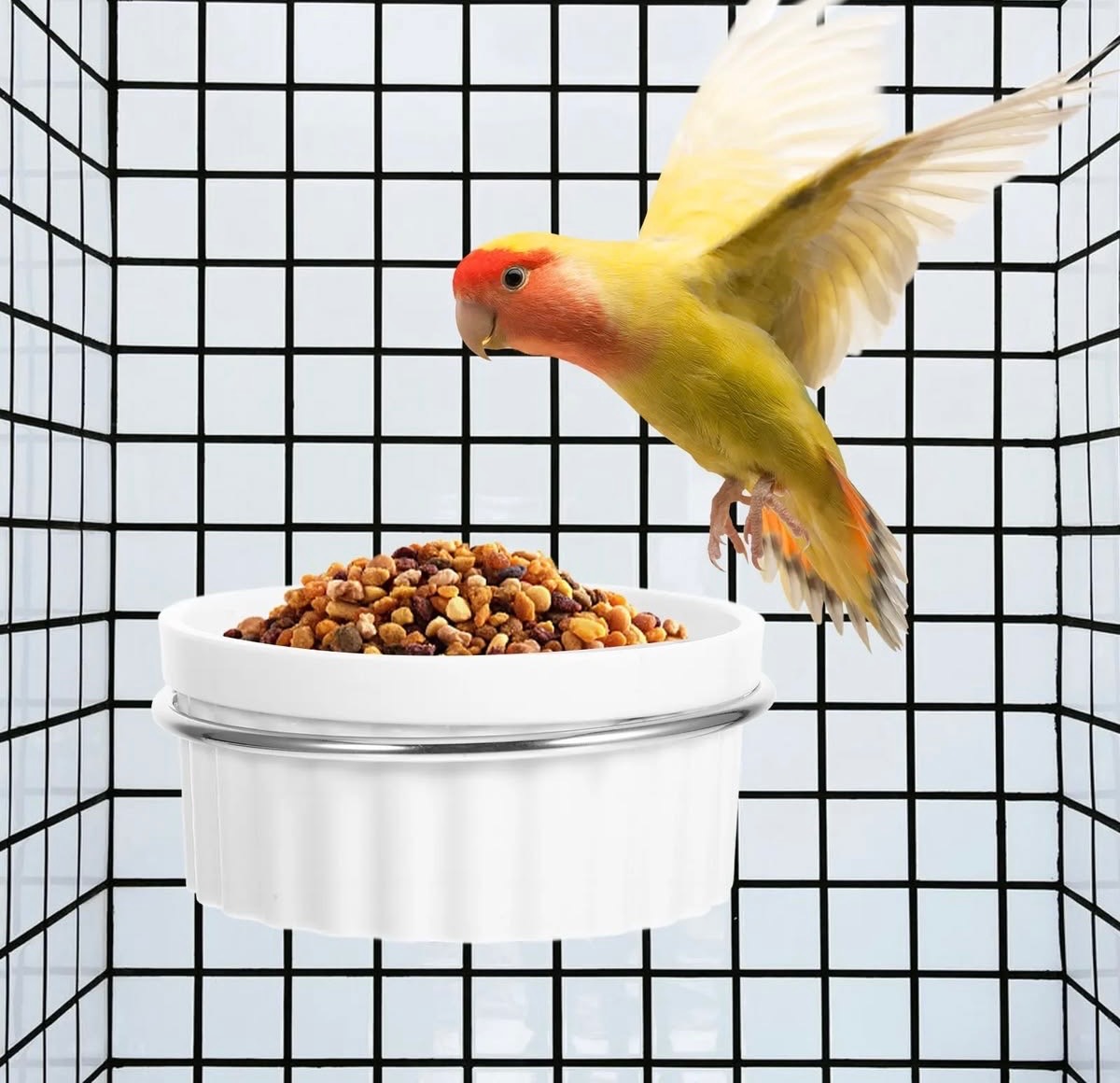 آویز قفس