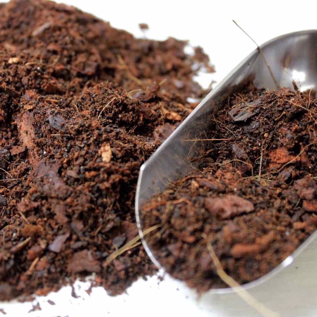 Bioactive Soil