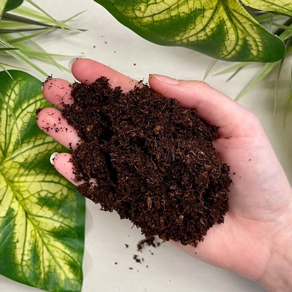 Reptile Substrate