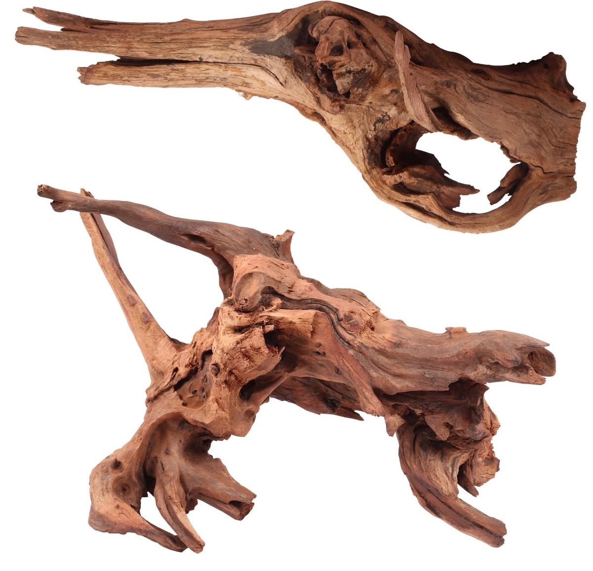 Driftwood
