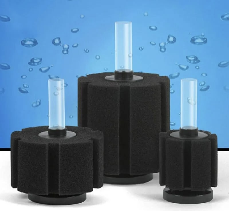 Sponge Filter