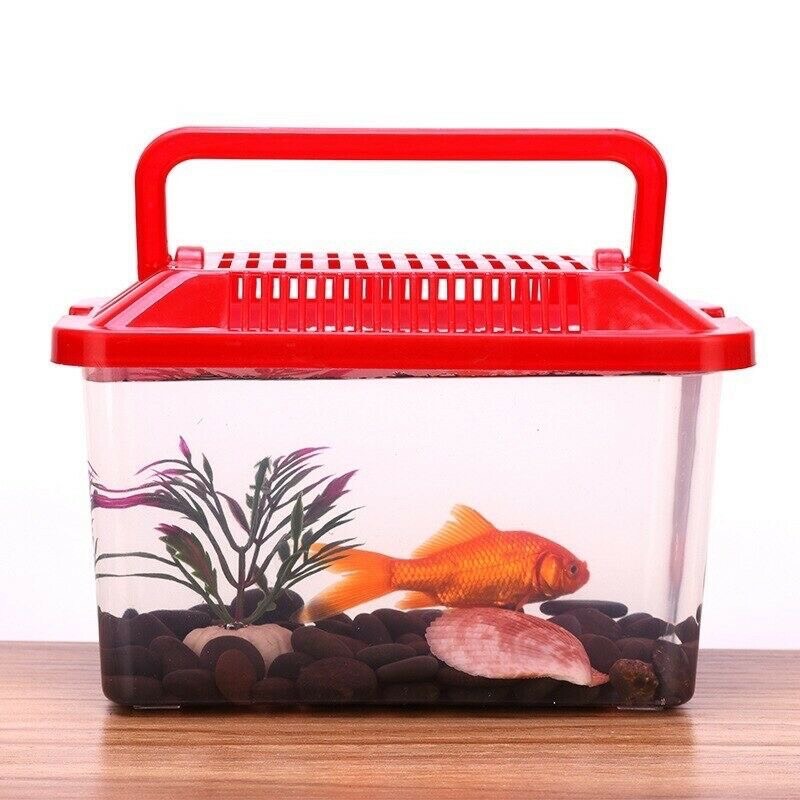 Aquarium Transport Container