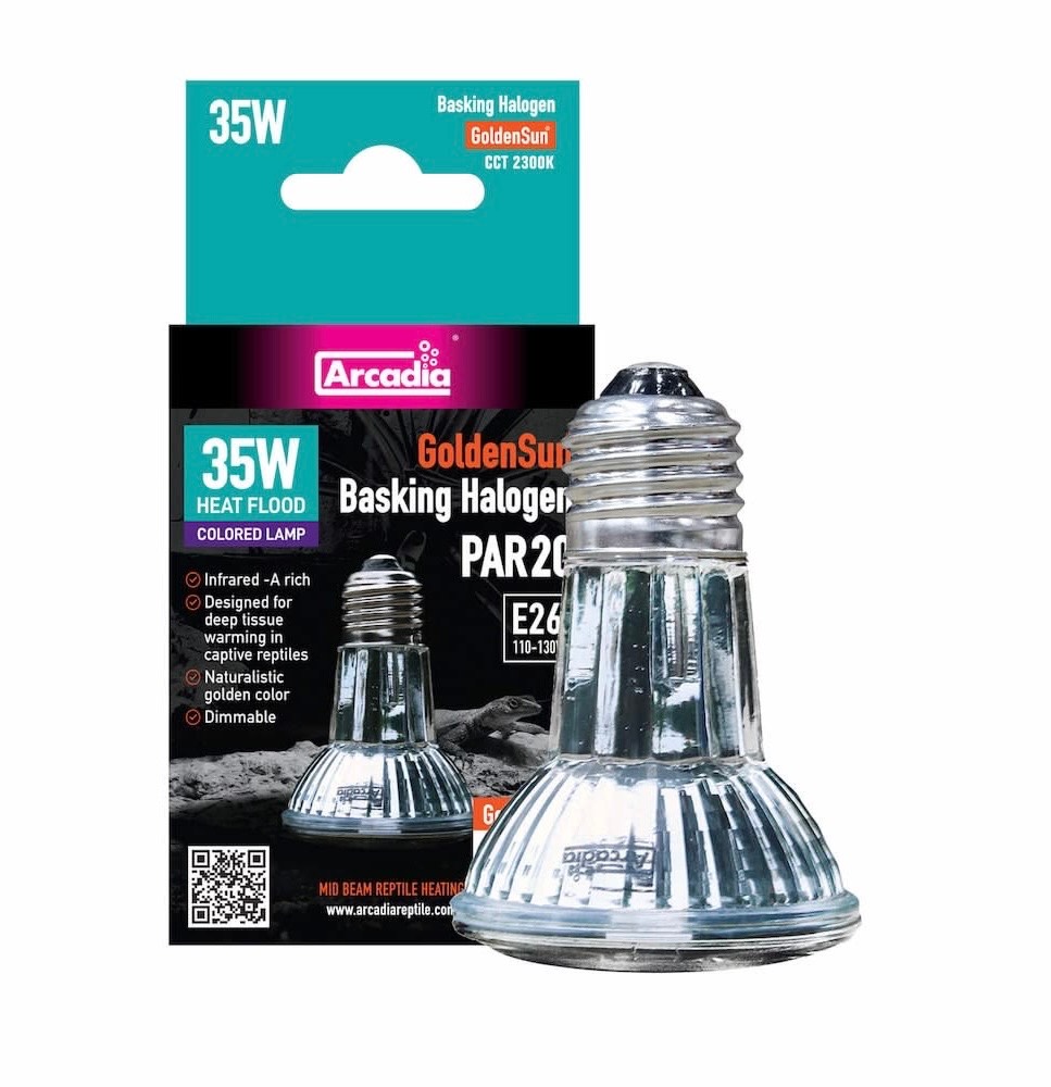 Halogen Bulb