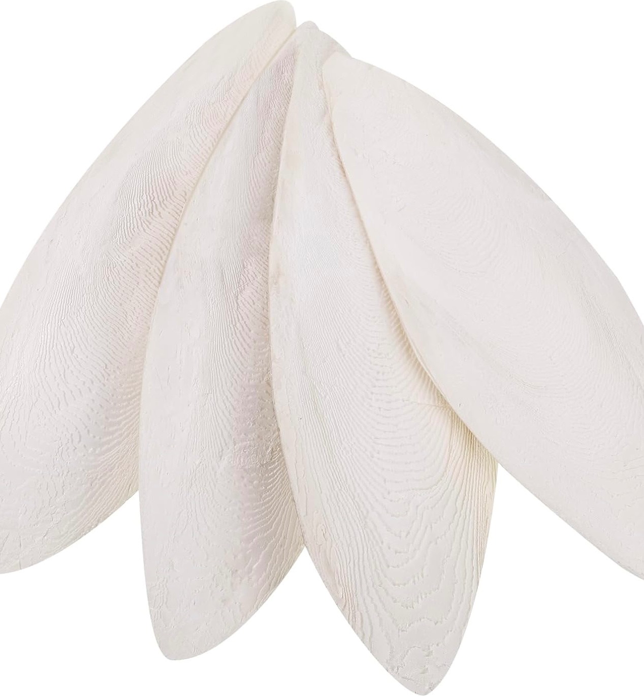 کف دریا (Cuttlebone)
