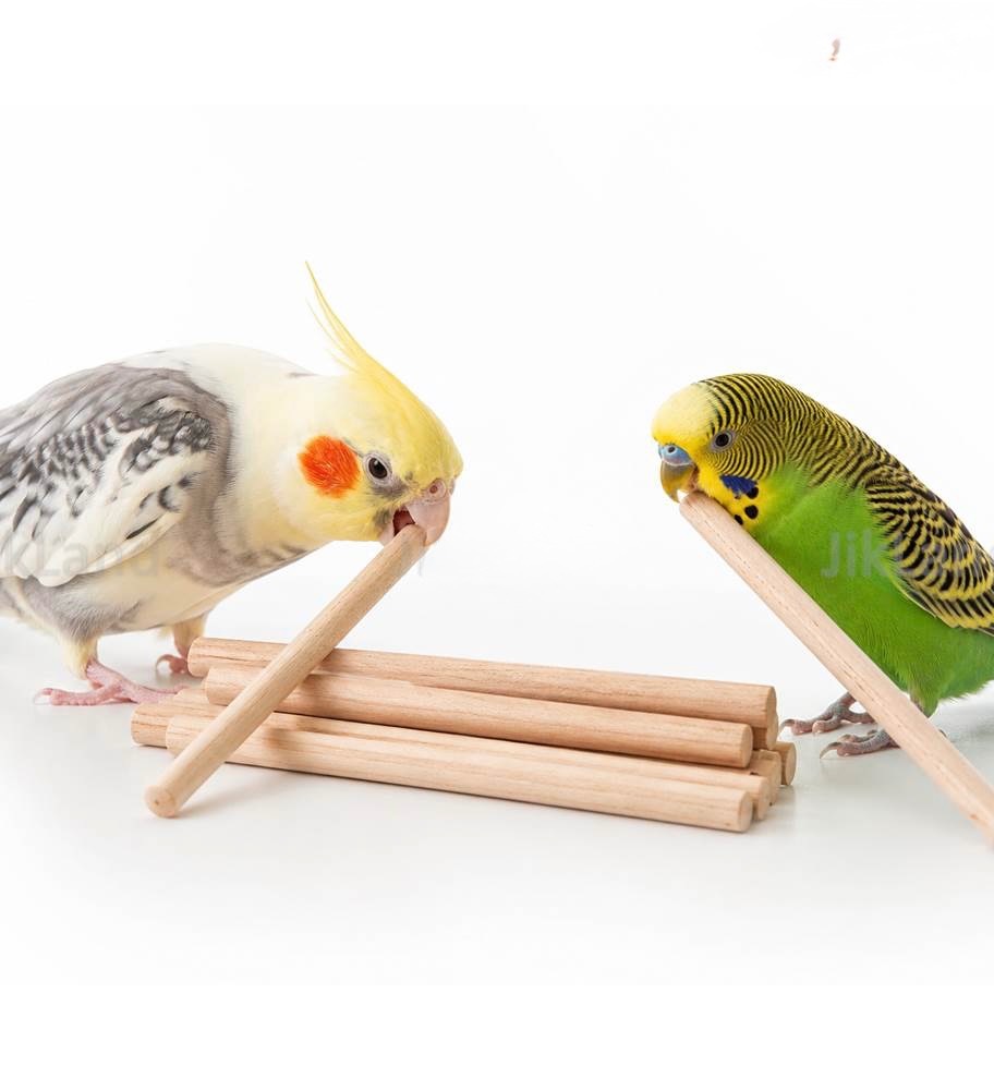 چوب طبیعی برای سایش منقار